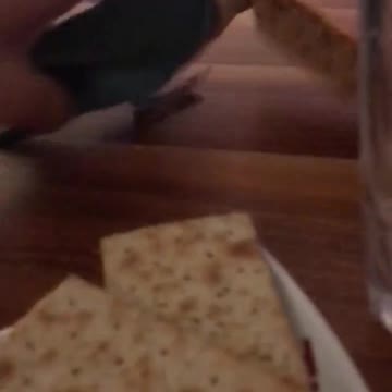 This cute little bird tried to steal my crackers and look what happened