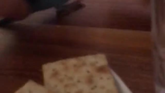 This cute little bird tried to steal my crackers and look what happened