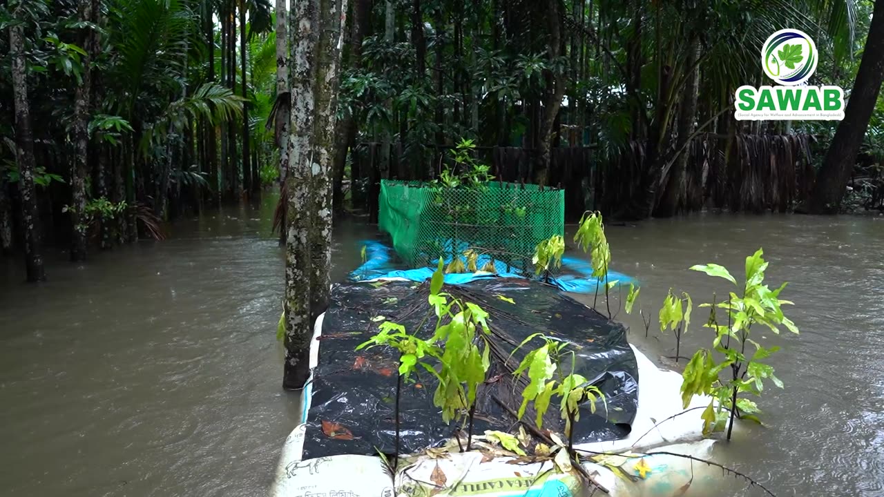 Flood situation in Bangladesh