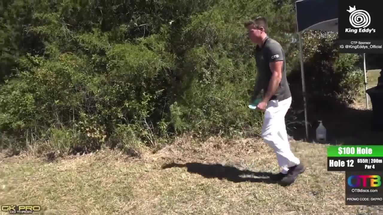 INSANELY GOOD DISC GOLF DRIVES COMPILATION