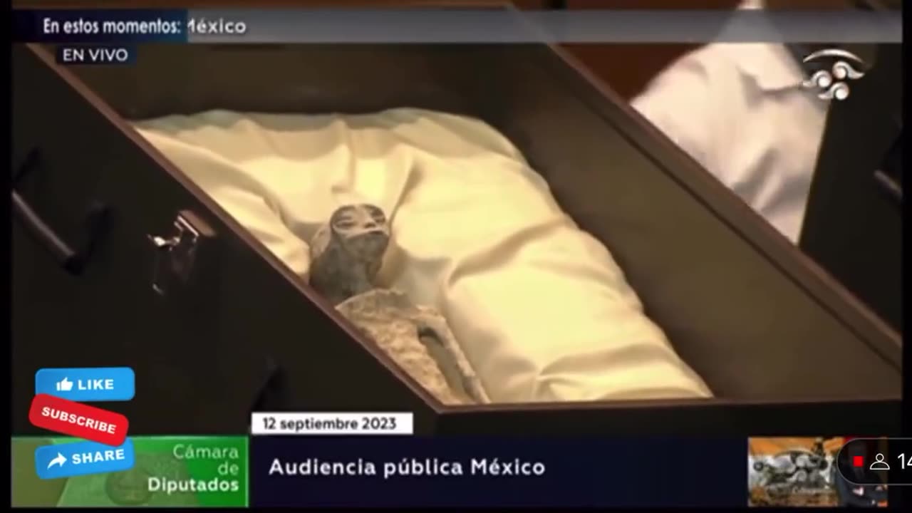 Mexican officials show non-human corpses