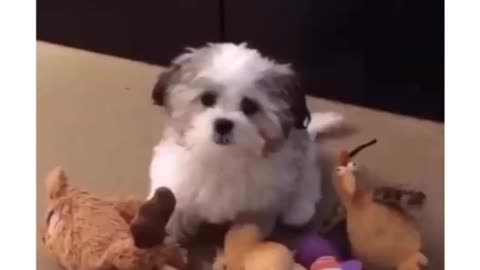 My best friend