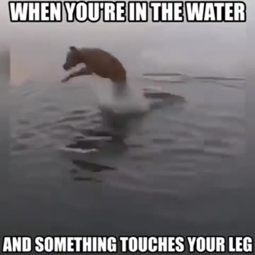 I think it was a spider!!!!!!!!!!!🕷