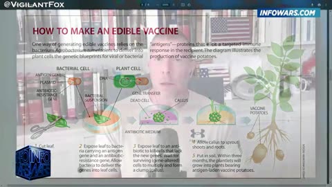 Edible Vaccines