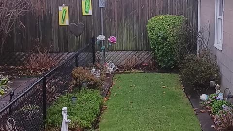 Snow and wind