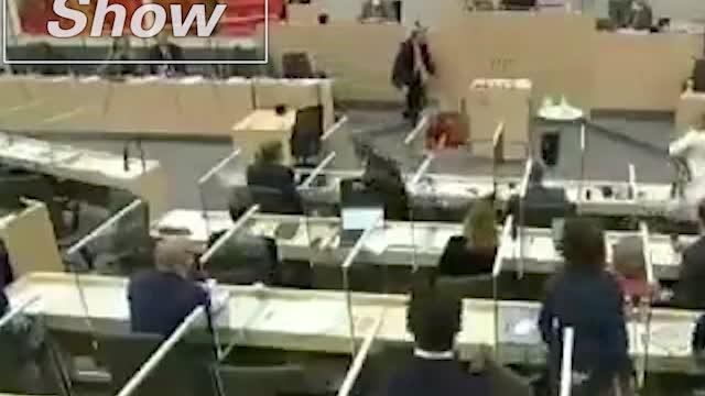 Austrian MP Passes Out