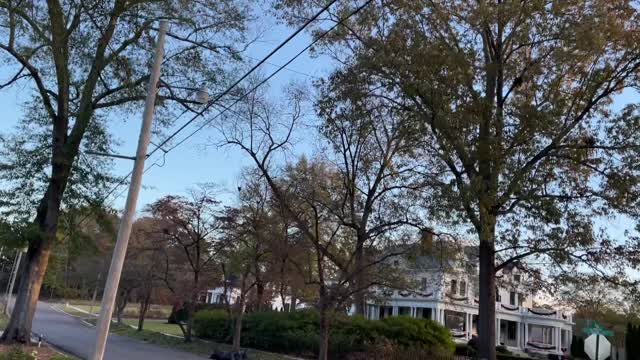 Mississippi Morning Walk