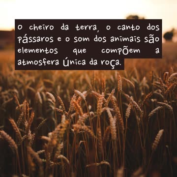 A roça é um lugar onde a simplicidade e a rusticidade se unem