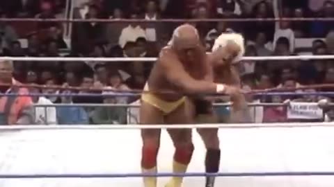 Ric Flair vs Hulk Hogan 1991 WWF