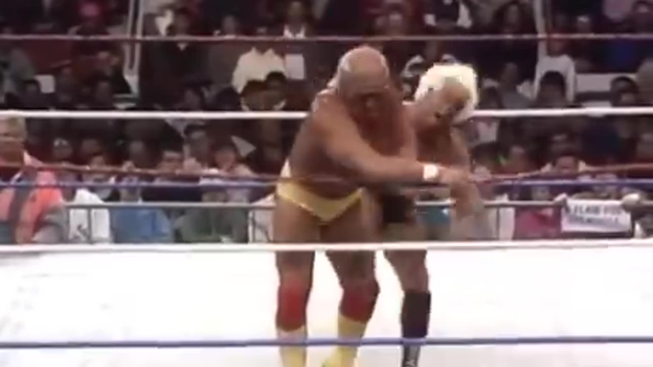 Ric Flair vs Hulk Hogan 1991 WWF