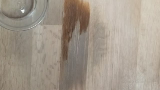 Experiment on removing cat urine stains out of hardwood floors step 1
