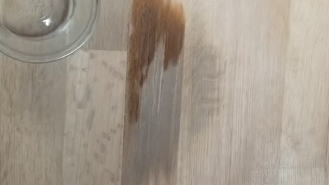 Experiment on removing cat urine stains out of hardwood floors step 1