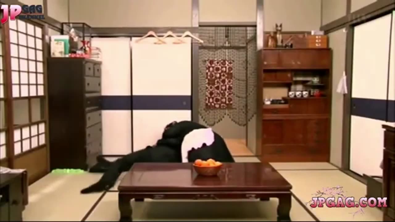 KEN SHIMURA - THE SUMO WIFE - Funniest JAPANESE Comedy Prank Show - Cam Chronicles
