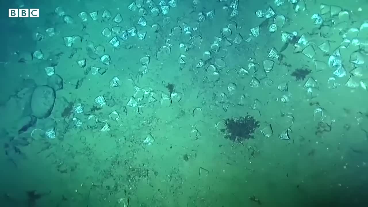 San José galleon: Two new shipwrecks found off Colombian coast - BBC News