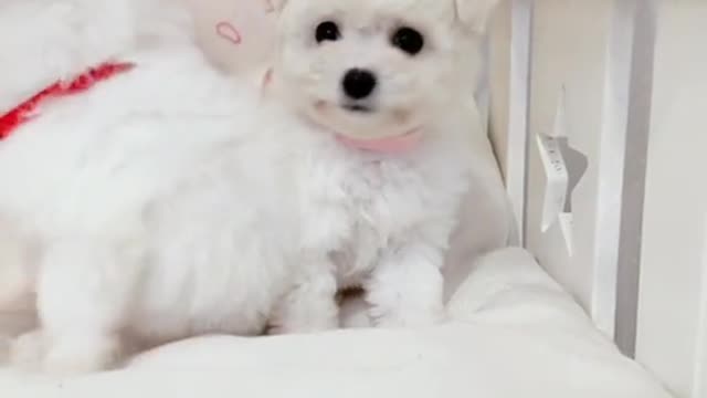 I'm listening to you