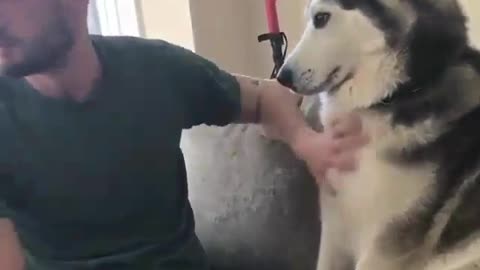 Why this dog is so cute 🥺