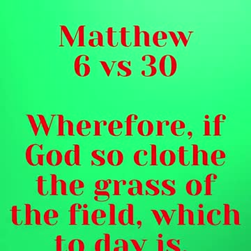 JESUS SAID...Wherefore, if God so clothe the grass of the field,