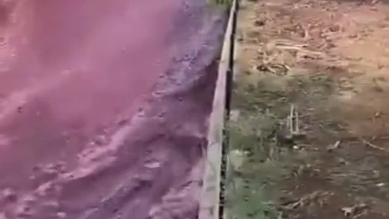 Incredible moment a river of red wine flows through Portuguese town