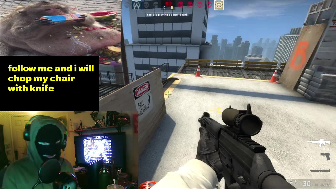 based csgo playing