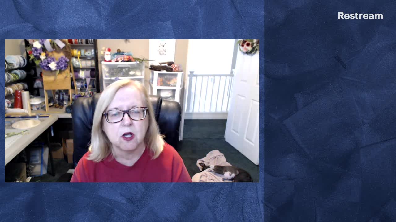 Susan Knowles Channel News/Politics - Stand For Truth