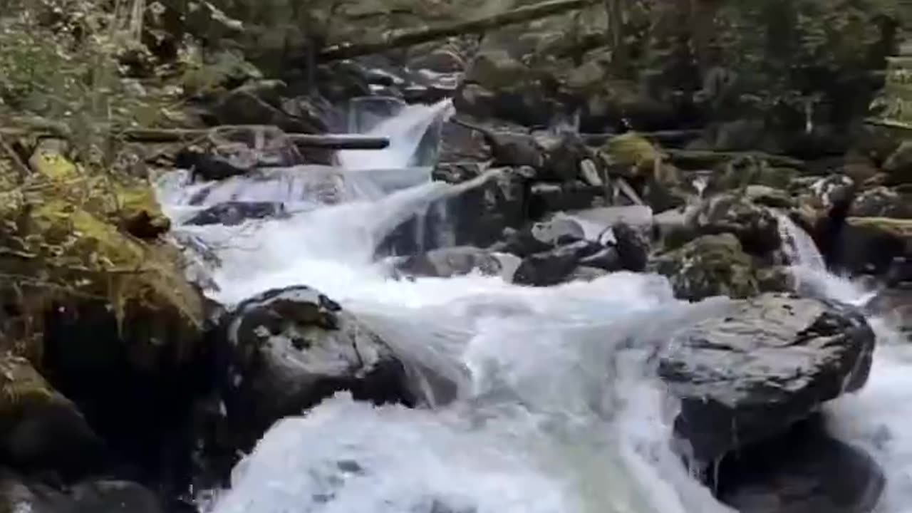 Jigme Lhangtsho (Sand Ox Lake) Hike-Bhutan