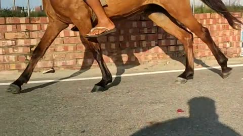 A Young Boy was ridding a horse in the bank of Mithamoin hawor