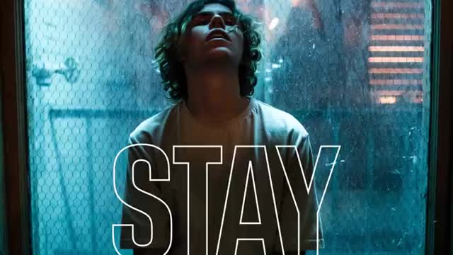 Stay