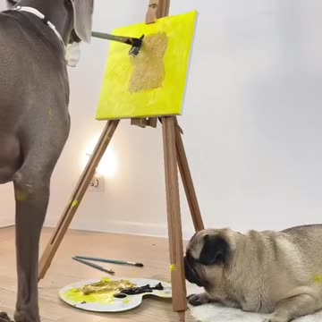 The Dog Can Draw Better Then Me 😳😍😘