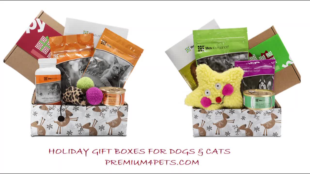 Holiday Gift for Dogs and Cats