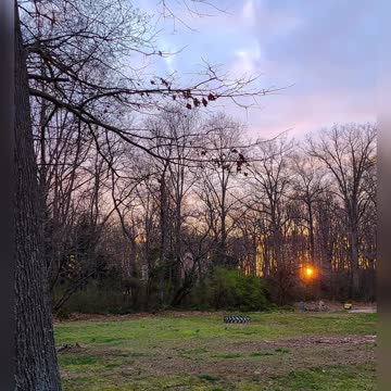 The Week In Pictures