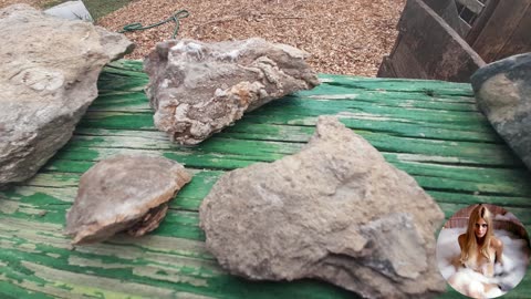 rocks and fossils from my yard deep in the ground