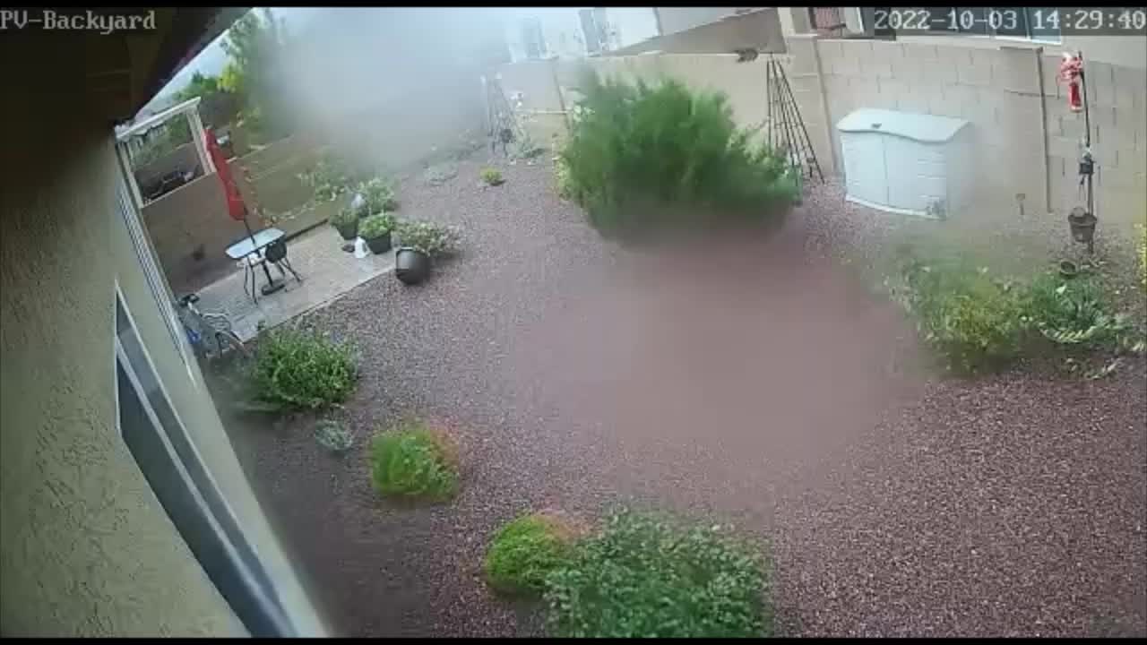 2022-10-03 Strong Wind captured by the backyard camera