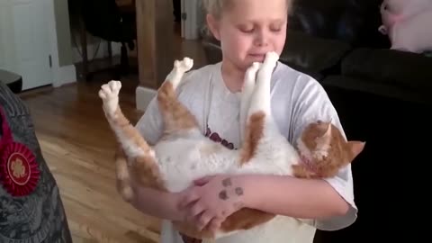 Comedy animals video 😂😂