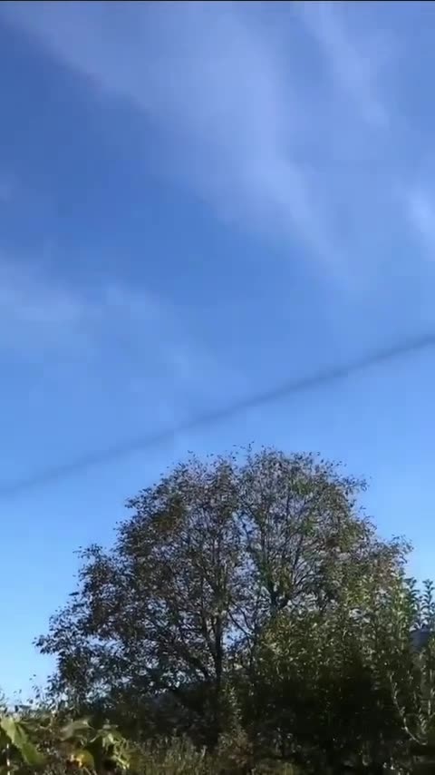 ❌ ✈️ 🏴‍☠️ Scie chimiche. Un aereo che lascia una scia bianca segue..