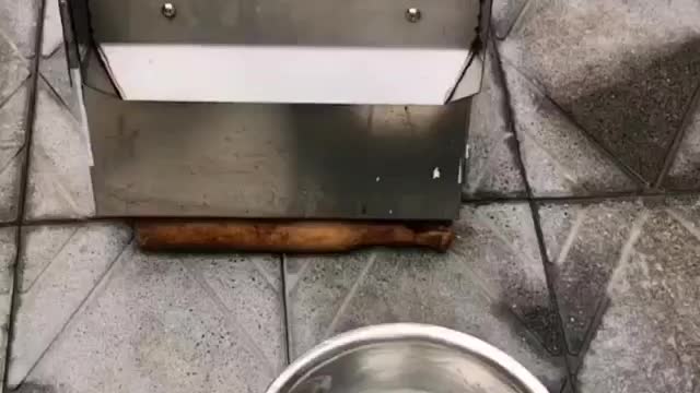 Vegetables Cutter Machine