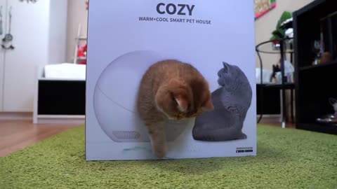 Cozy Box