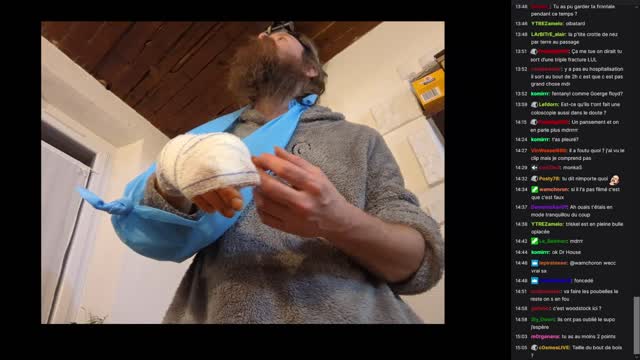 2022-12-07 (4bis.1) - arbre 1 humain 0 - Twitch Meutemediatique (version avec chat)