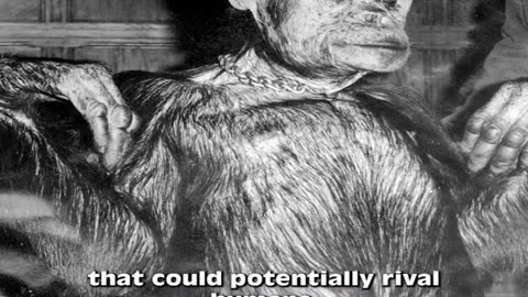 Controversial Genetic Experiment Creating an Intelligent Primate Species
