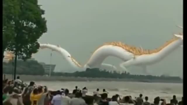 Tik tok chinese dragon