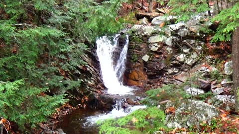 Cascade