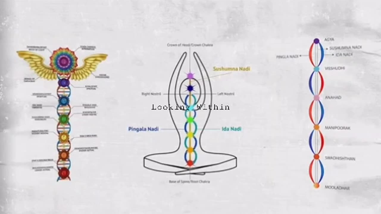 The Science of Sacred Secretion-How To Activate The 3rd Eye