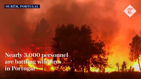 Wildfires rage in Spain, France and Portugal as heatwave sweeps across Europe