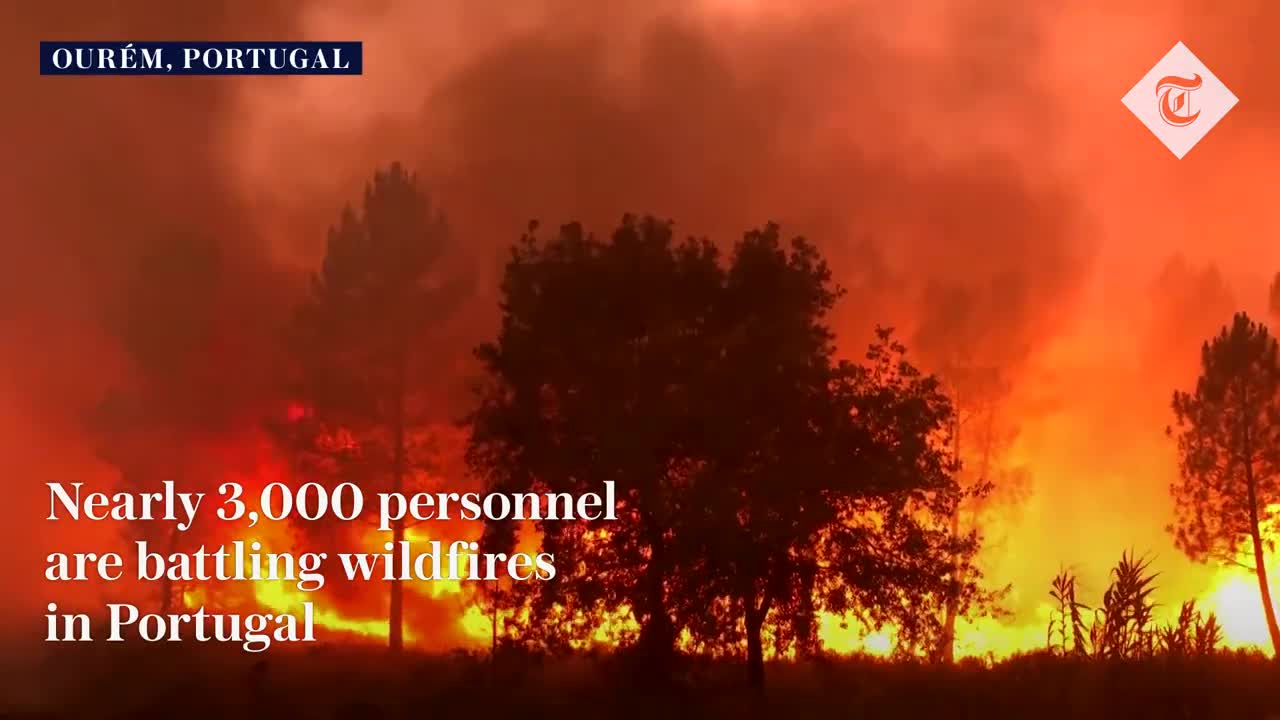 Wildfires rage in Spain, France and Portugal as heatwave sweeps across Europe