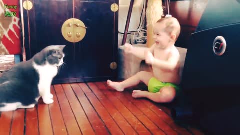 Funny Babies Laughing Hysterically at Cats