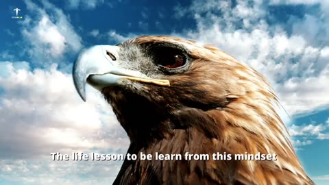 Having eagle mindset