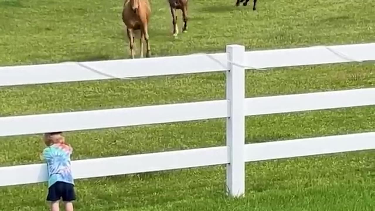 Subscribe Cute Kiddo Summons Horse Herd!