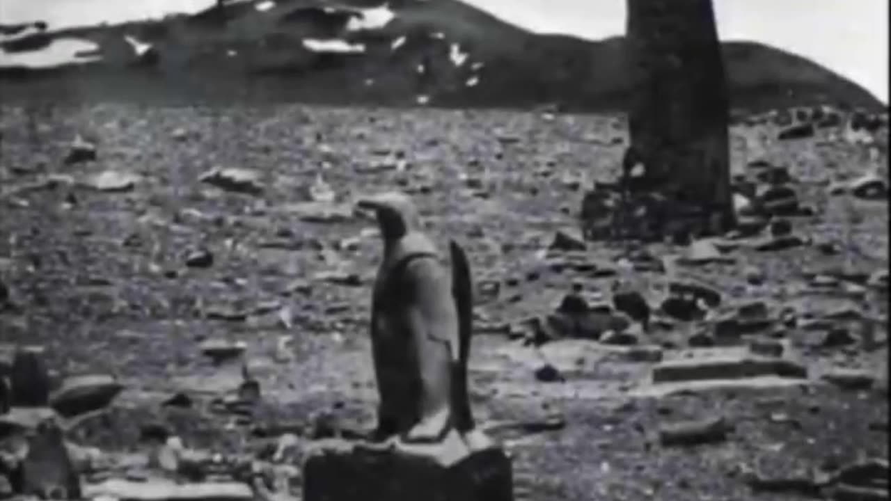 BEYOND THE ICE WALL： Robert Scott 1912 Archive Photos