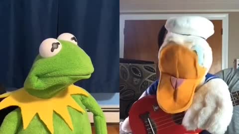 Kermit looks so mad 🤣