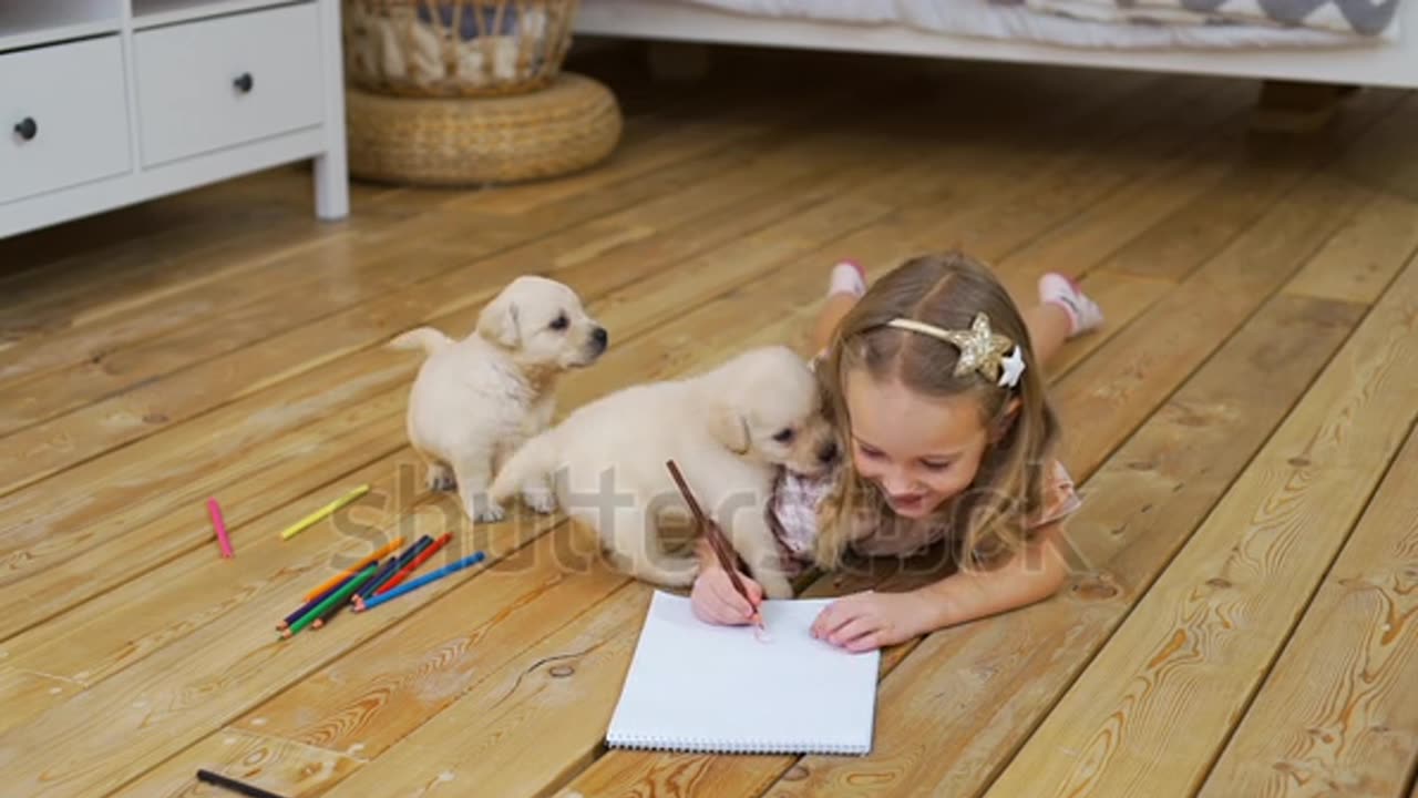 Cute Child Girl with Puppies