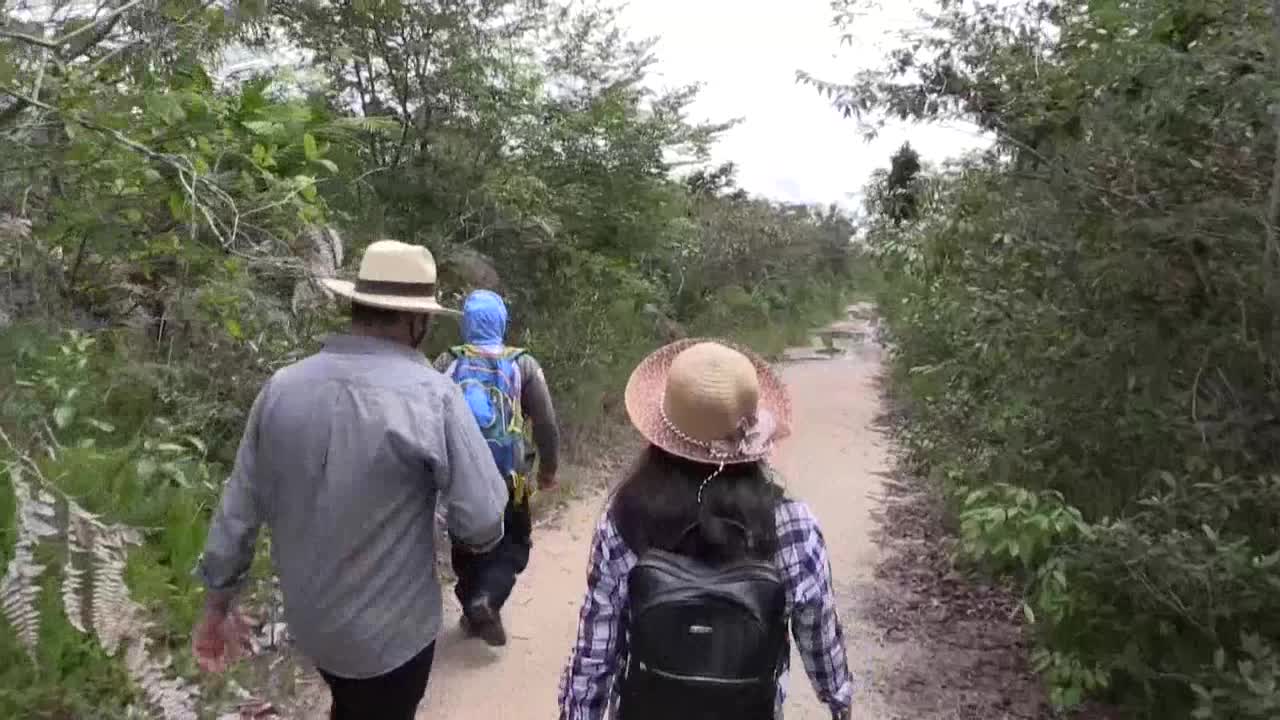 Caño Cristales brilla de nuevo tras la pandemia